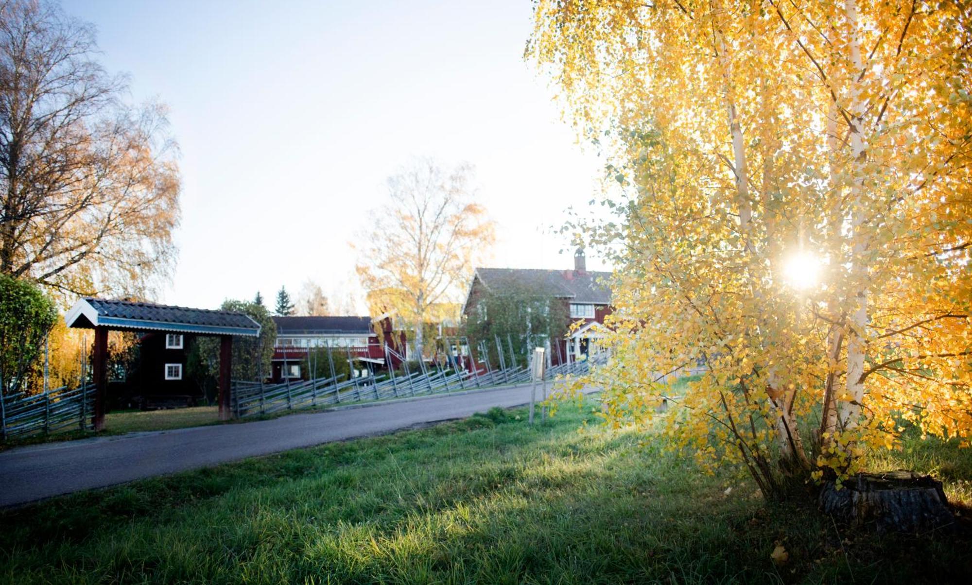 Akerblads Hotell Gaestgiveri Spa Tällberg Esterno foto